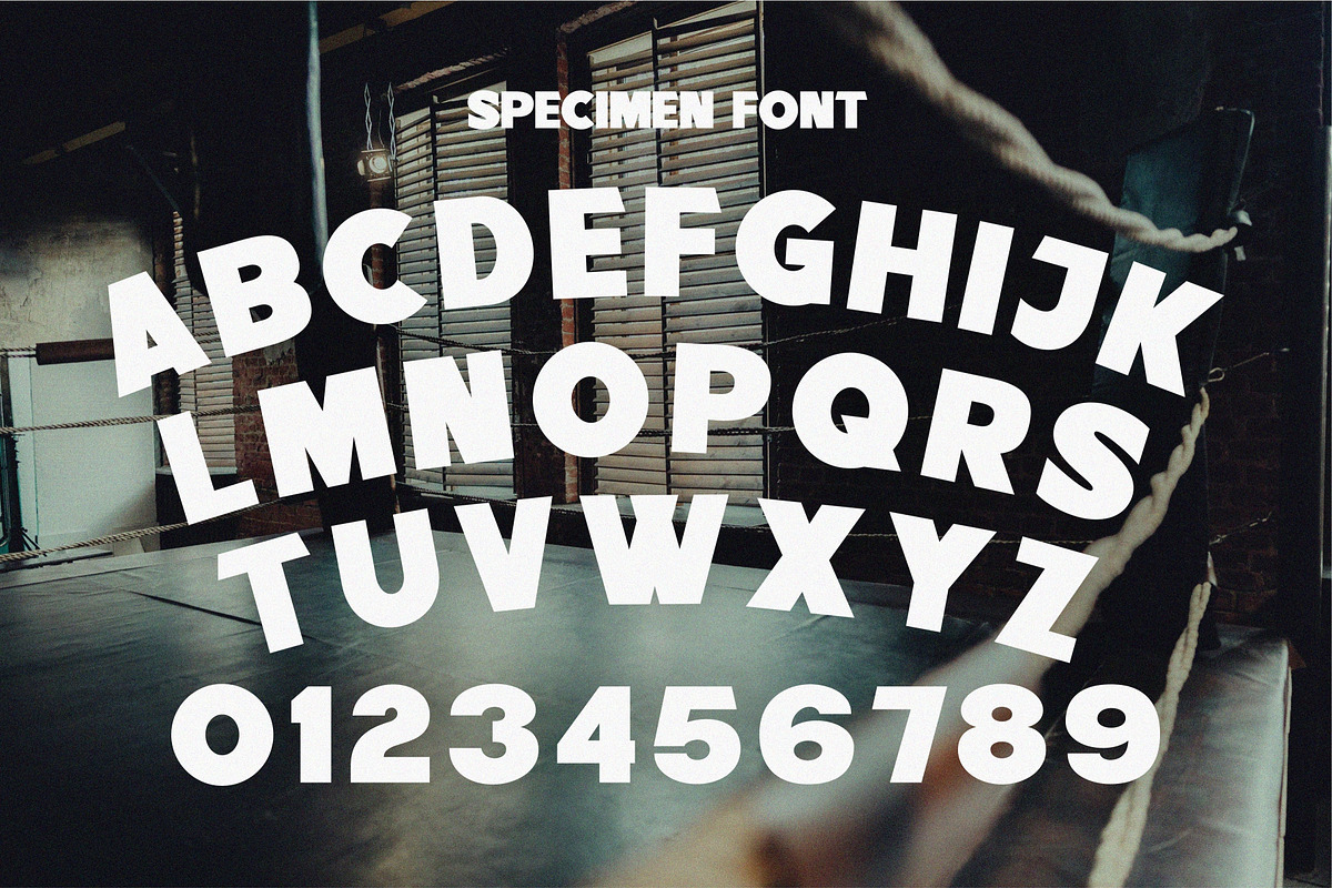 Norders, a Sans Serif Font by uncurve (Photo 4 of 6)