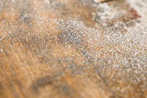 Carpentry workbench wood sawdust texture old dirty, an Industrial Photo by Photo Drive Studio