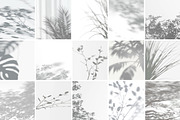 Plant Shadow Backdrops Video Bundle, a Mockup by rebrandy (Thumbnail 3 of 24)