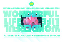 YNF Headliner | Wonderful sans serif