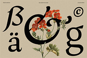 Preztik Display Typeface, a Serif Font by Glowtype (Thumbnail 12 of 15)