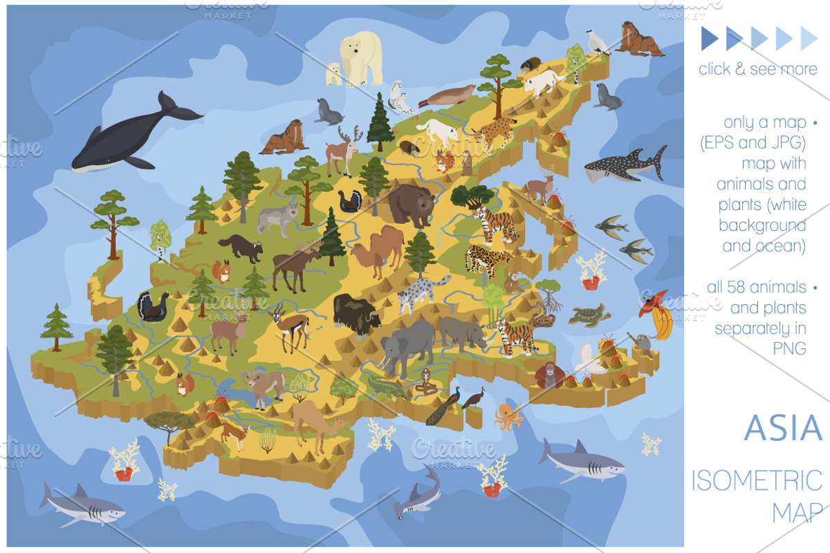 Asia isometric flora & fauna map, an Animal Illustration by pet design shop (Photo 1 of 5)