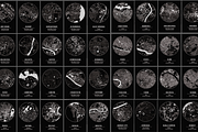 314 City Maps - Building footprints, a Texture Illustration by Cartorical (Thumbnail 5 of 6)