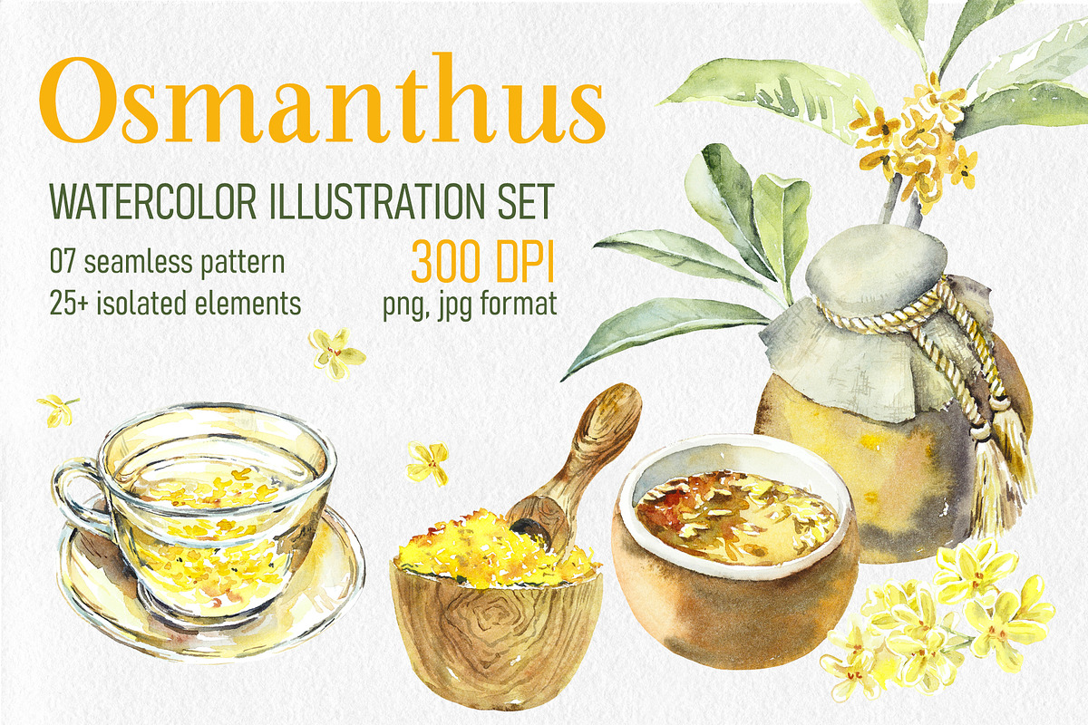 Golden Osmanthus Health Tea, a Food Illustration by Budogoshch (Photo 1 of 8)