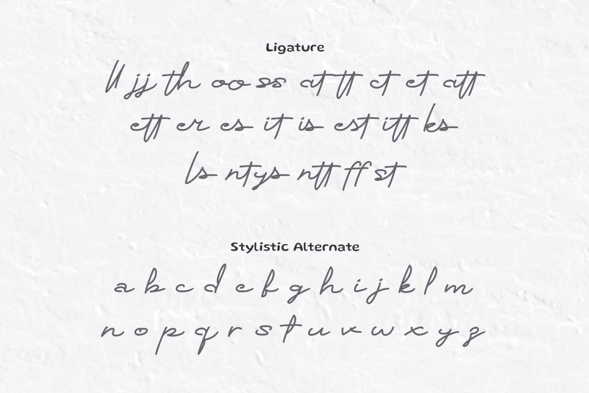 Claudette Signature | Signature Font, a Script Font by Ngapak Studio (Photo 4 of 11)