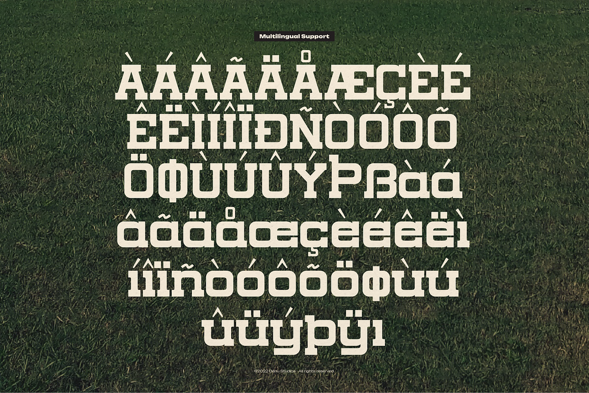 Roaring Tribune | Sport Varsity, a Slab Serif Font by Denustudios (Photo 12 of 12)