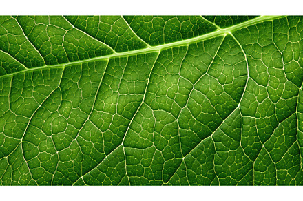 plant leaf crop farm ai generated, a Background Photo by pikepicture