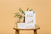 Rose Brown - Brush Script, a Script Font by Youthlabs Studio (Thumbnail 5 of 15)