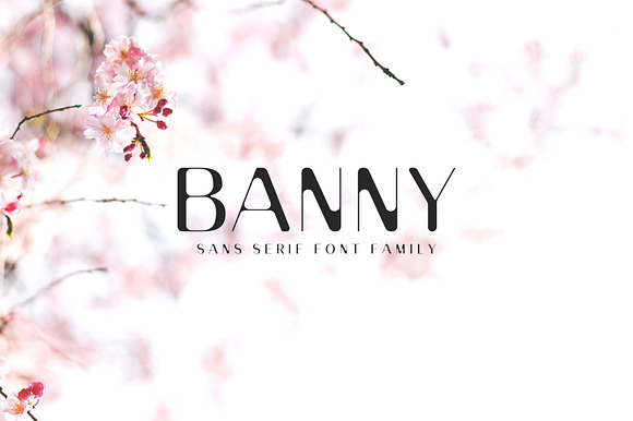 Banny Sans Serif Font Family preview 8