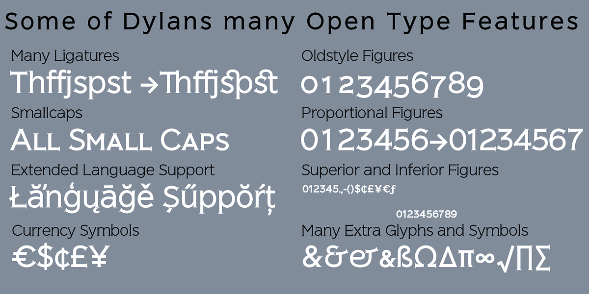 Dylan Copperplate, a Serif Font by Wiescher-Design (Photo 3 of 6)