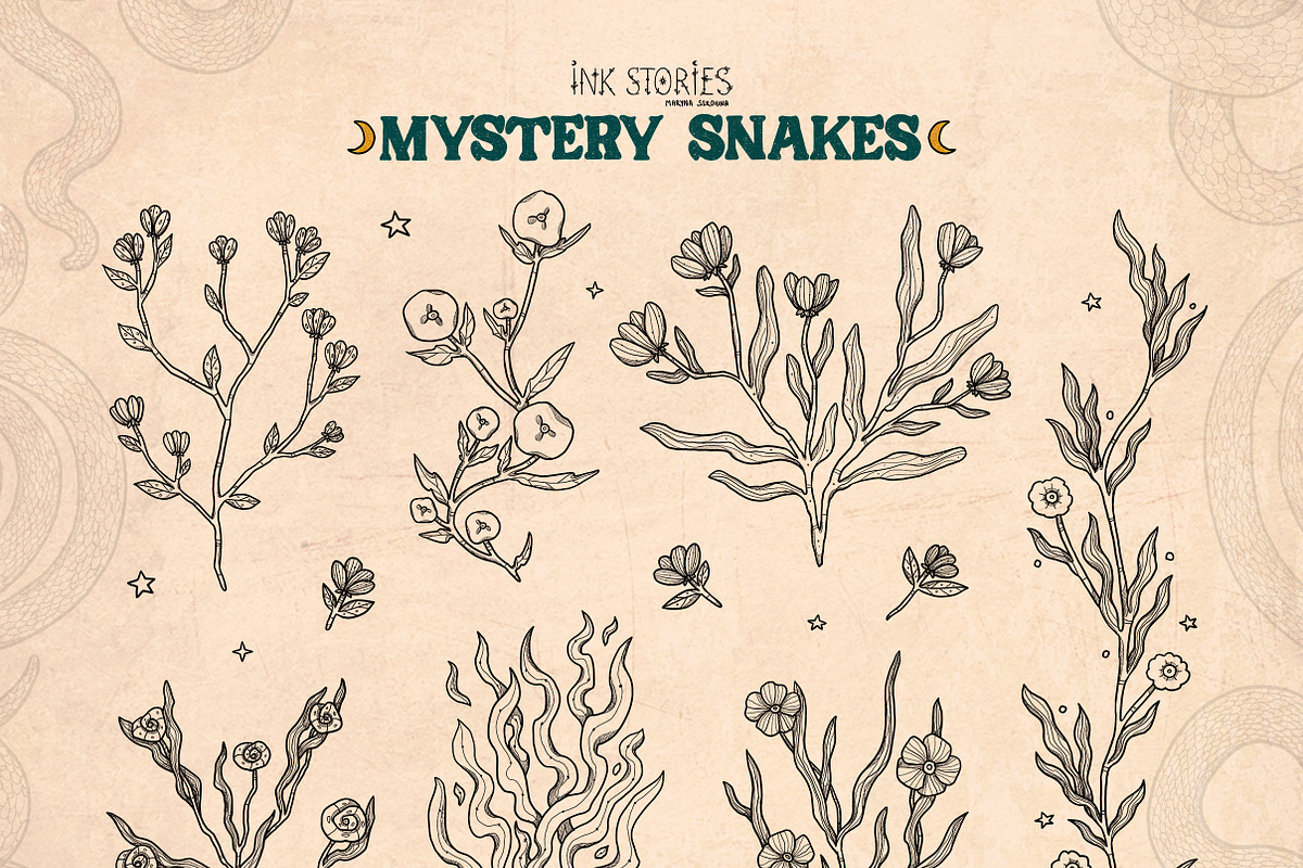 Mystery Snakes, an Animal Illustration by Ink Stories (Photo 19 of 31)