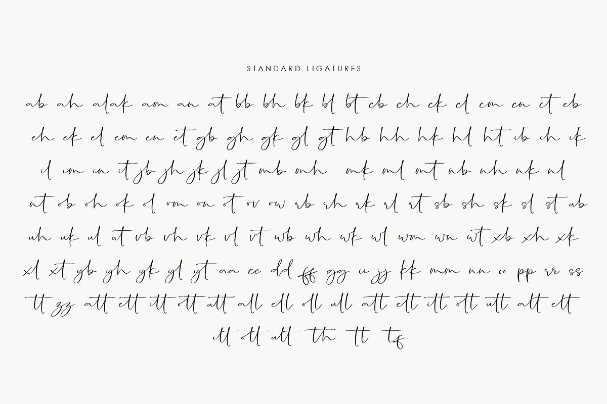 Shirlone Handwritten font, a Script Font by moriztype (Photo 7 of 8)