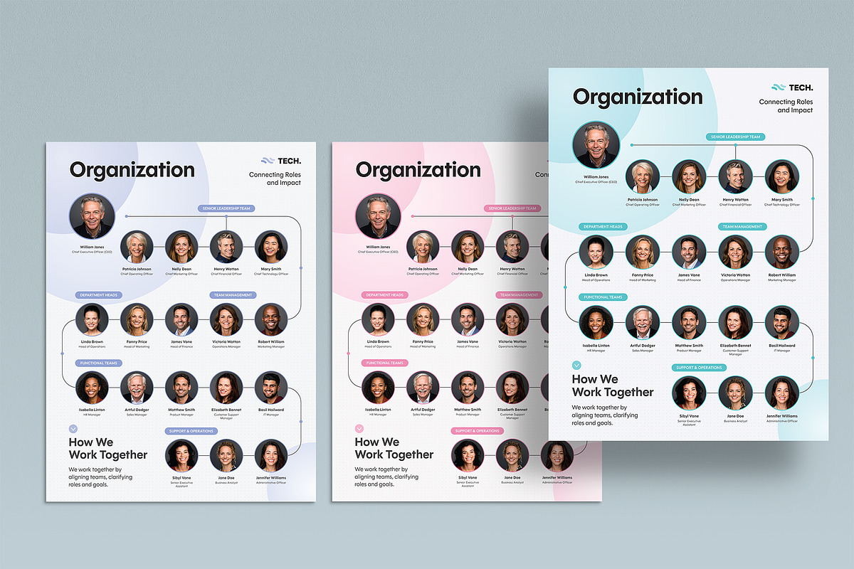 Organizational Chart Poster Template, a Brochure Template by BrandPacks