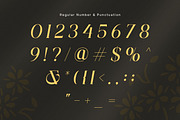 Affiora - Elegant Italic Serif Font, a Serif Font by Flawless And Co (Thumbnail 9 of 10)