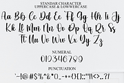 Berry Smoothie, a Handwritten Font by FreshTypeINK (Thumbnail 2 of 8)