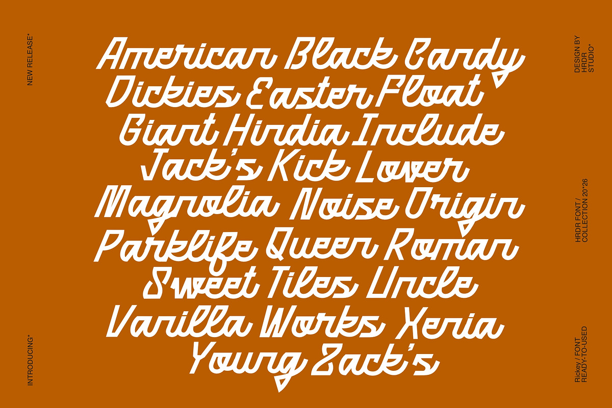 Rickey - Modern Elegant Font, a Script Font by HRDR (Photo 8 of 12)