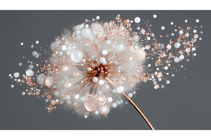 Fine water droplets cling to the, a Nature Photo by ZinetroN