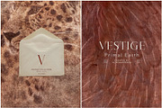 Vestige · Primal Earth Backgrounds, a Background Graphic by alonahaidash (Thumbnail 3 of 16)