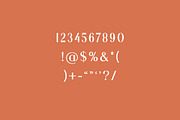 Brightwood Classic Serif Font, a Serif Font by UICreative (Thumbnail 4 of 13)