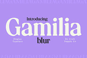 Gamilia Blur, a Serif Font by Craft Supply Co. (Thumbnail 1 of 8)