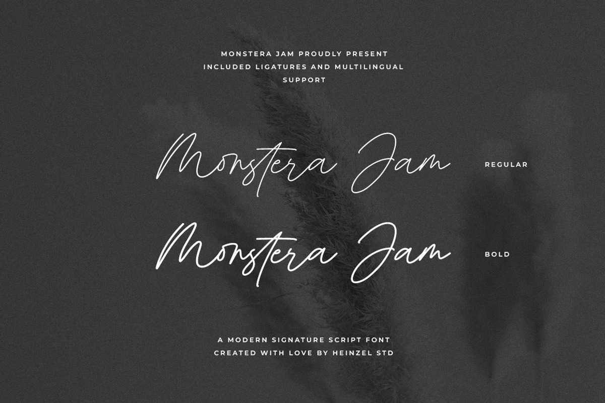 Monstera Jam Modern Signature Font, a Handwritten Font by Heinzel Std (Photo 19 of 19)