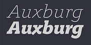 Legit Slab, a Slab Serif Font by Finaltype (Thumbnail 10 of 12)
