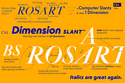 Rosart & Fleisch Hi Res ALL:10 FONTS, a Serif Font by California Type Foundry (Thumbnail 4 of 13)