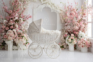 Newborn Stroller Digital Backdrop