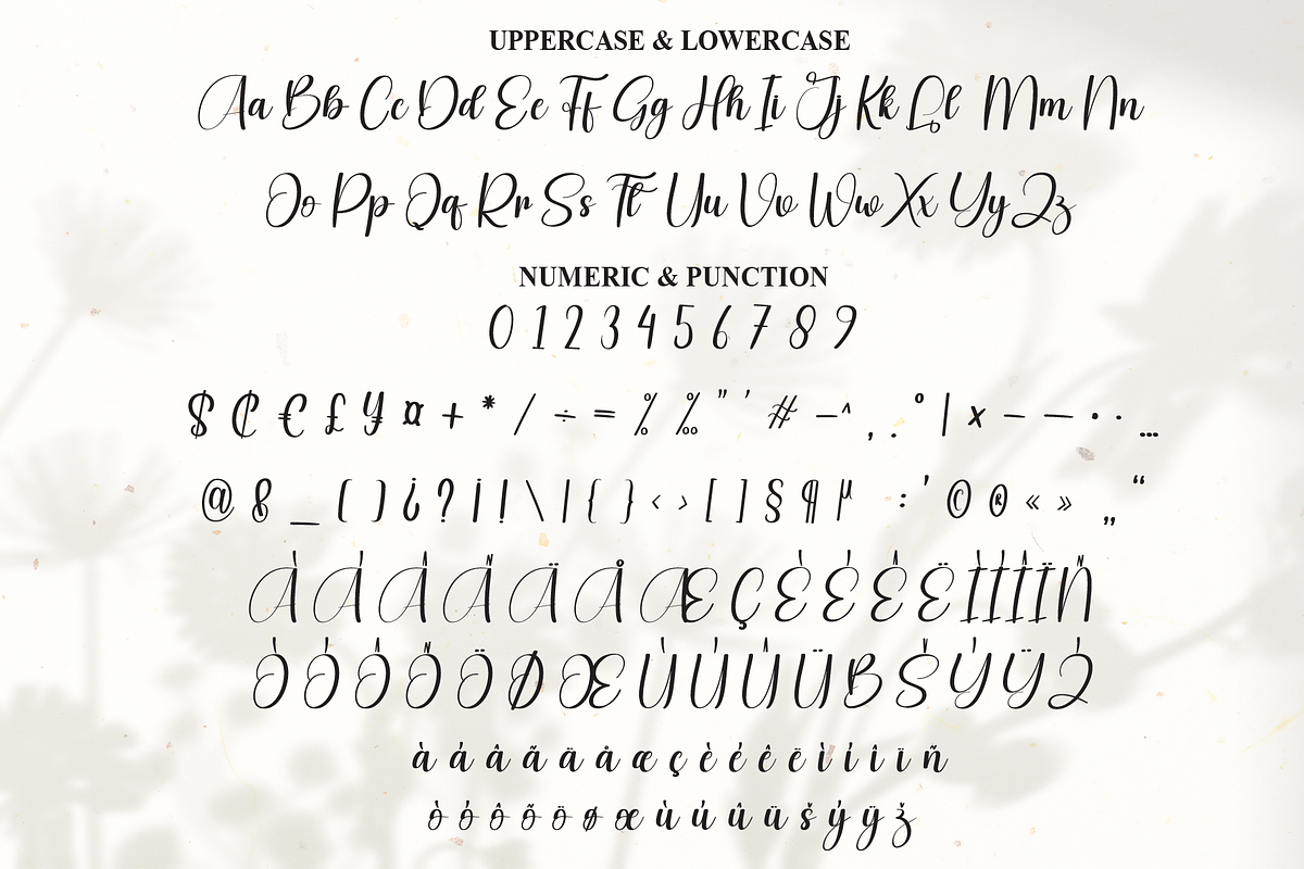 Sunday | Script Font, a Handwritten Font by Scratchones (Photo 7 of 9)