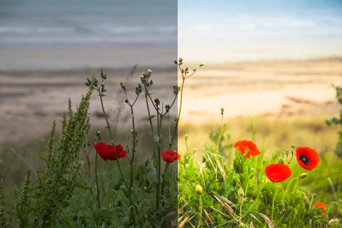 Impressions 10+2 Fineart LR Presets preview 6