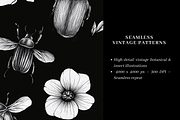 Vintage Botanical Engraving Patterns, a Pattern Graphic by LUSH Studio (Thumbnail 2 of 6)