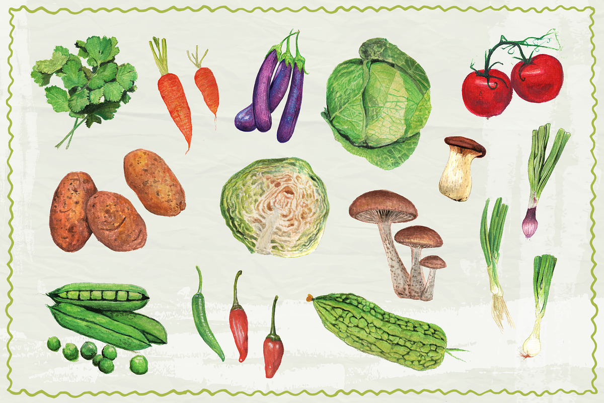 Realistic Vegetables Watercolor, a Food Illustration by tomatstudio (Photo 2 of 3)