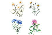 Wildflower Watercolor Clipart Bundle, an Illustration by DreamCafeArt (Thumbnail 2 of 5)