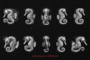 10 Bundle Dark Art Seahorse Sea, an Illustration by Morspective (Thumbnail 6 of 7)