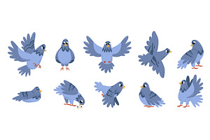 Cartoon pigeon. Isolated birds, a Graphic by LadadikArt