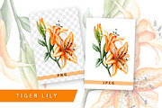 5 illustrations flower color mix, a Decorative Illustration by Integrity_store (Thumbnail 10 of 11)