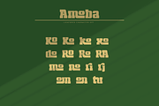 Amoba, a Slab Serif Font by Linecreative (Thumbnail 5 of 11)