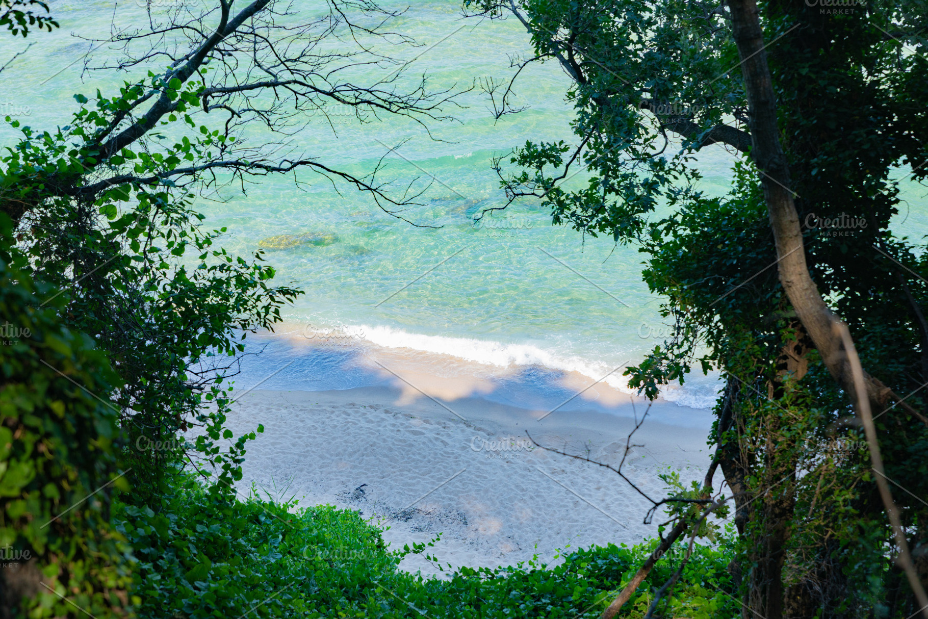 Serene view of a sandy beach and gentle waves framed by lush green foliage and, a Holiday Photo by Ales Munt