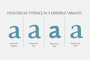 Monterchi - 50 fonts, a Sans Serif Font by Zetafonts (Thumbnail 10 of 12)