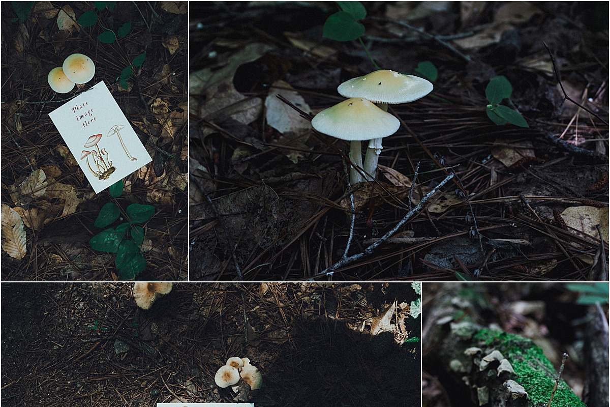 Mushroom Collection Vol. 1 - Mockups, a Print Template by Wild Joy Studios (Photo 3 of 5)