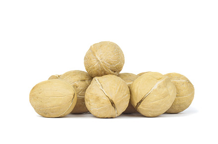 Walnut isolated on white background, a Food & Drink Photo by AlexBush