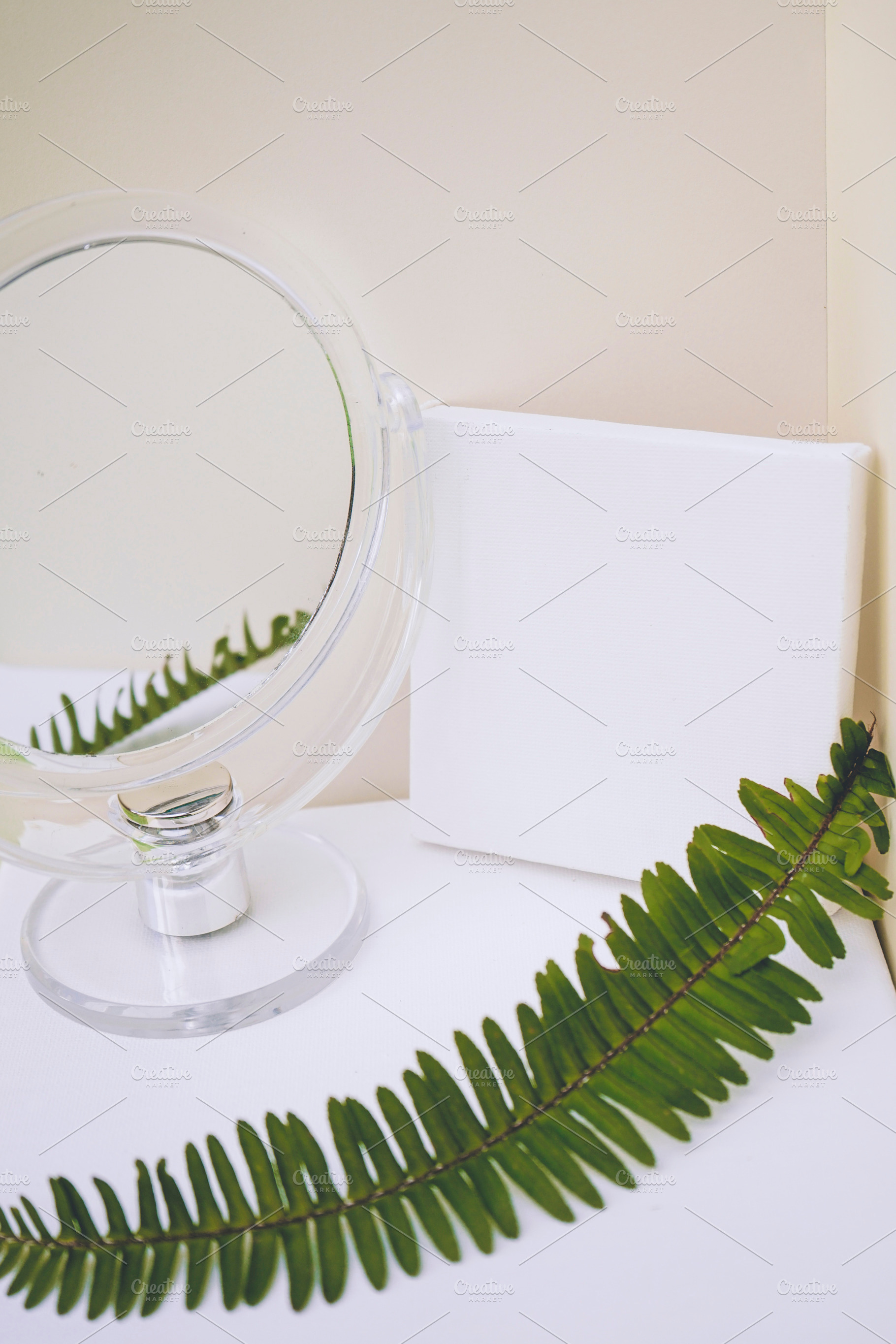 Clean and natural mockup in green and neutral tones, a Photo by NanihtaCreative
