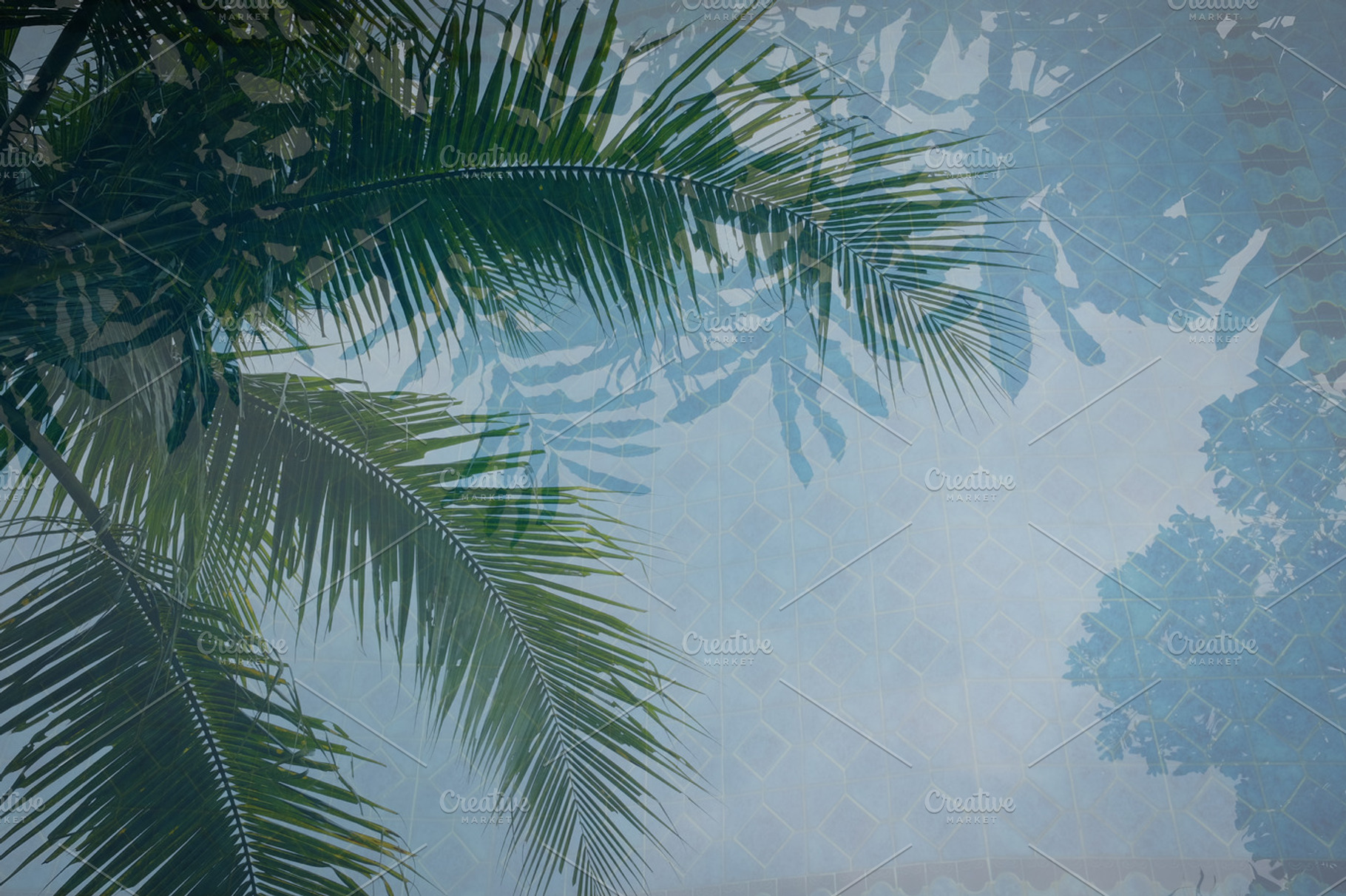 Travels in Bali #4, a Photo by Heather Nash Photo