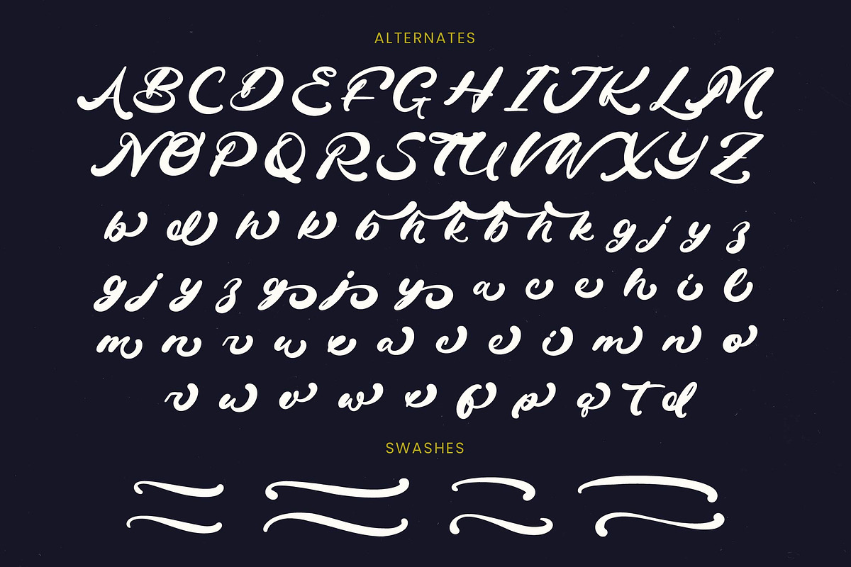 Drink South Bold Calligraphy Font, a Script Font by Letterena Studios Script (Photo 19 of 20)