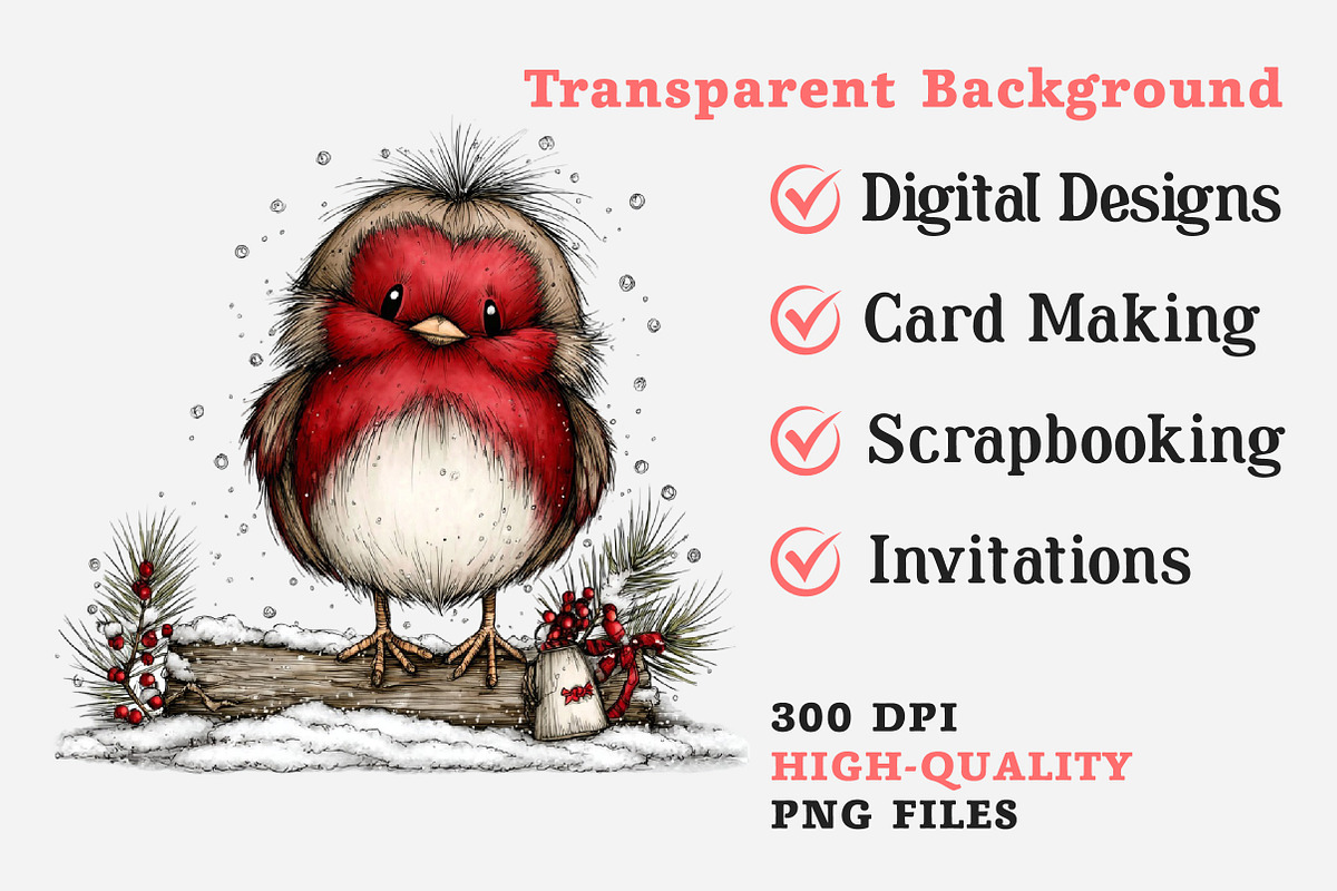 Whimsical Winter Robin Birds Clipart, an Illustration by Dream Creation (Photo 7 of 7)
