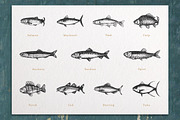 Fish & Corals Collection, an Animal Illustration by Chewie Co (Thumbnail 2 of 9)