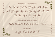 Emelya - Elegant Calligraphy Font, a Script Font by Idea Studio (Thumbnail 8 of 11)