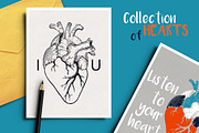 Anatomical hearts & quotes, a Texture Illustration by Librebird (Thumbnail 1 of 8)
