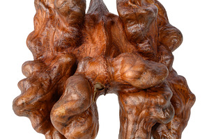 A peeled walnut kernel with characteristic ridges and brown skin, a Food & Drink Photo by ndanko