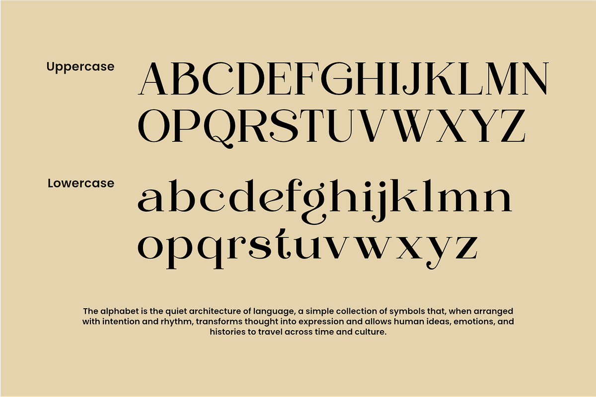 Regani - Modern Serif Typeface, a Serif Font by NexaLine (Photo 9 of 10)